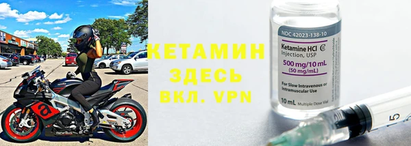 прущие грибы Магадан