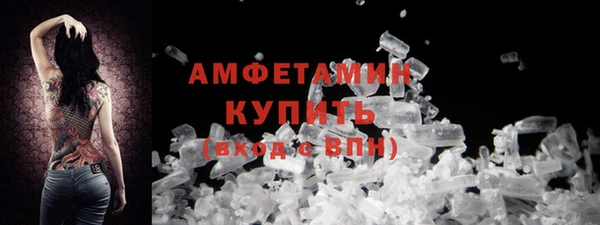 прущие грибы Магадан
