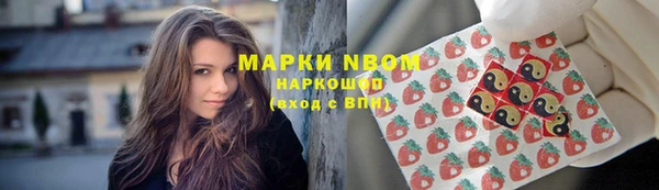 прущие грибы Магадан