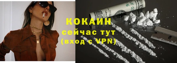 прущие грибы Магадан