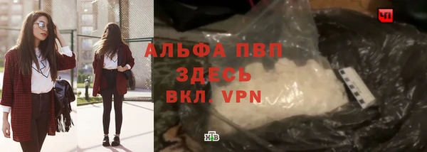 прущие грибы Магадан