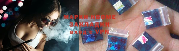 прущие грибы Магадан