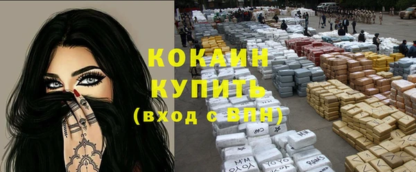 прущие грибы Магадан