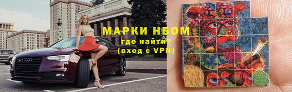крисы Нижний Тагил